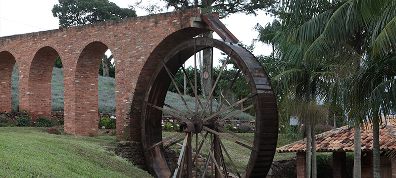 Monte Alto Coffees