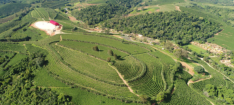 Monte Alto Coffees